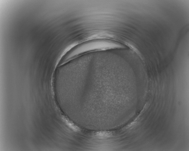 X0000066931026200604071841