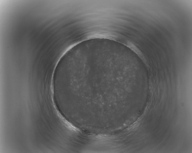 X0000066931028200604071841