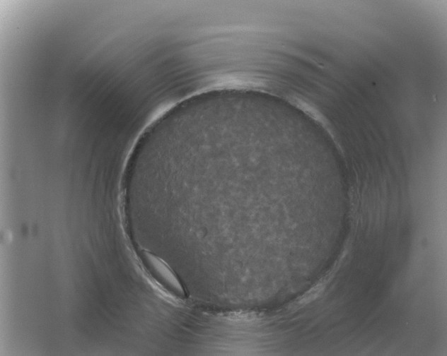 X0000066931029200604071841