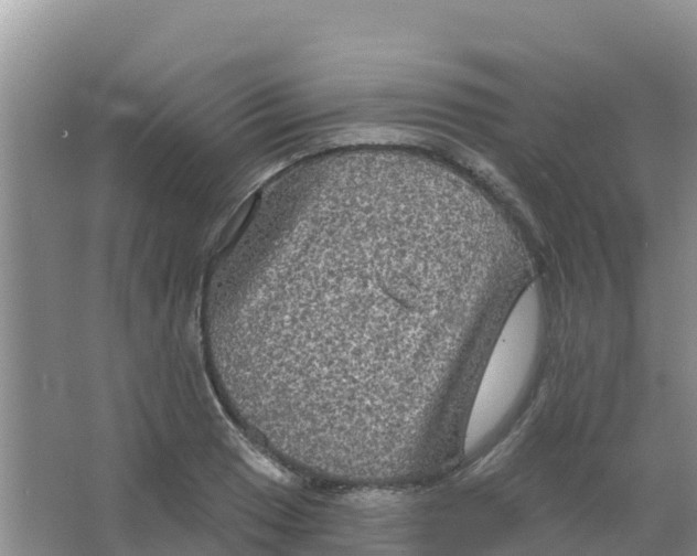 X0000066931033200604071841