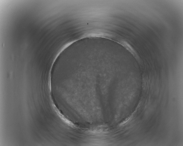 X0000066931036200604071841