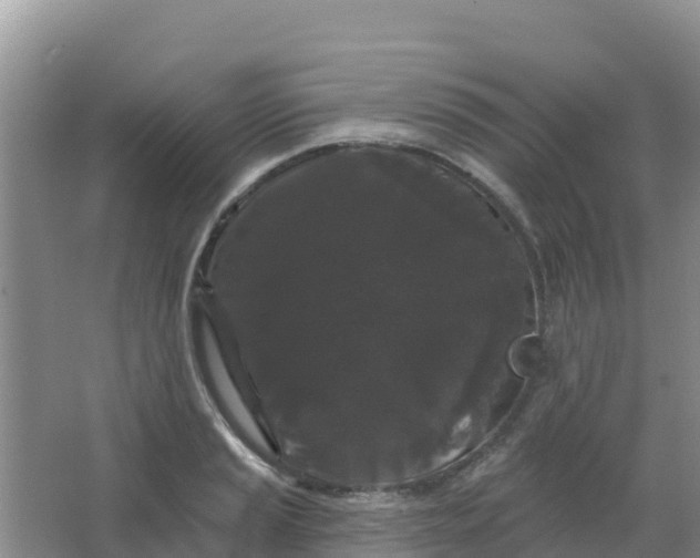 X0000066931037200604071841