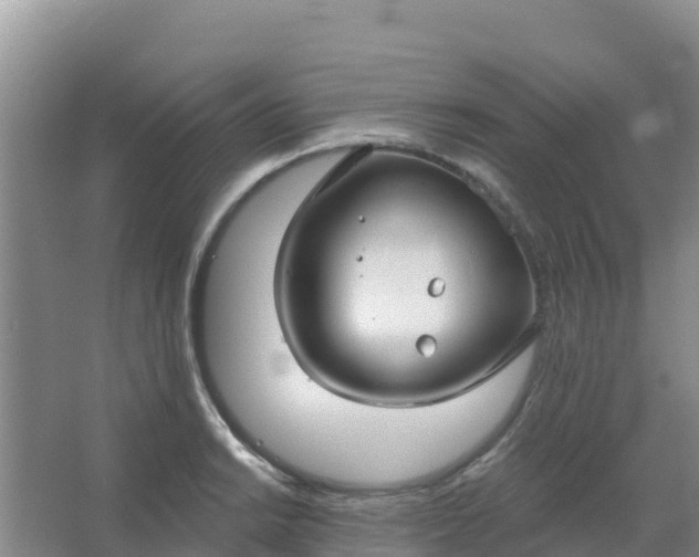 X0000066931038200604071841