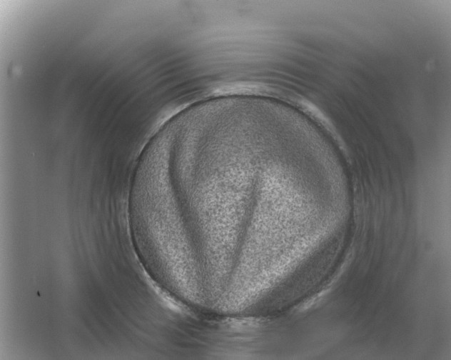 X0000066931041200604071841