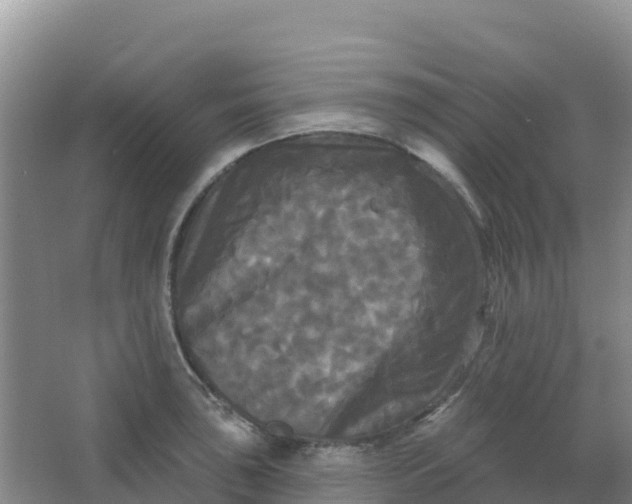 X0000066931043200604071841