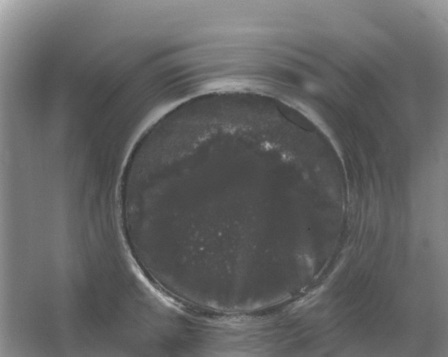 X0000066931045200604071841