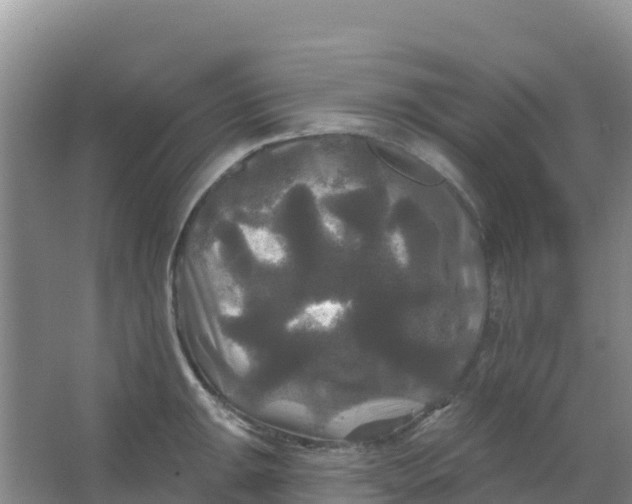 X0000066931047200604071841