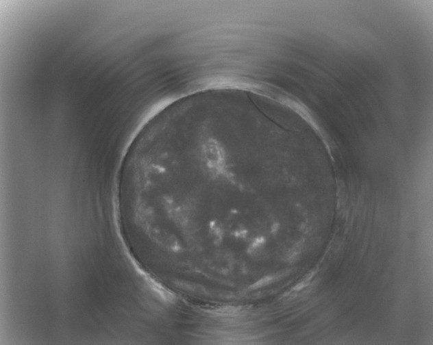 X0000066931048200604071841