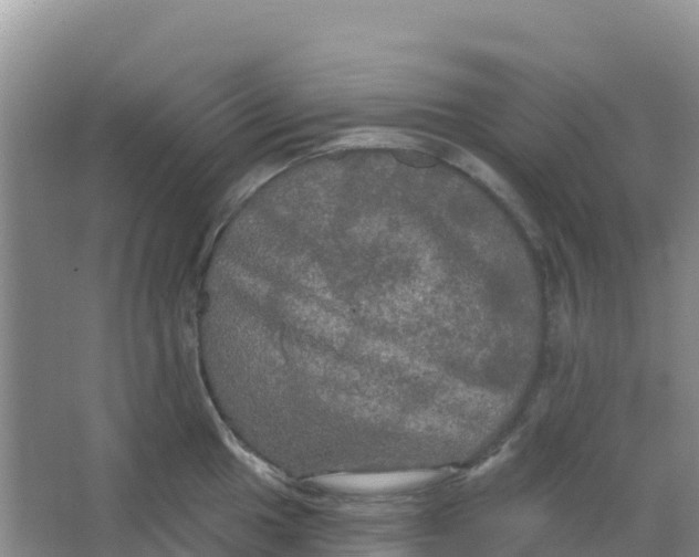 X0000066931049200604071841