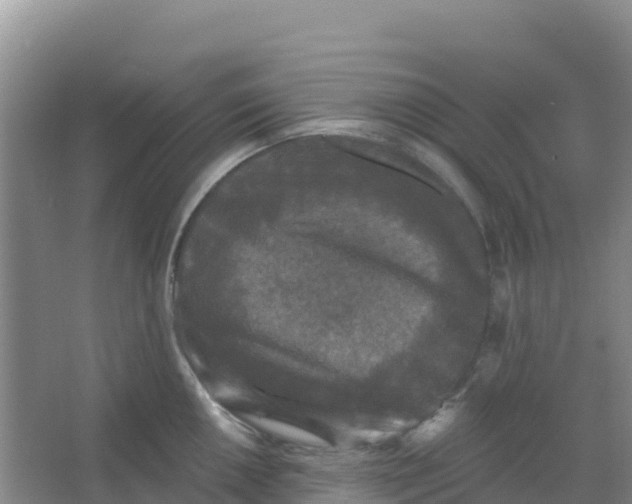 X0000066931050200604071841