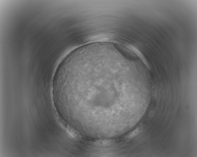 X0000066931051200604071841