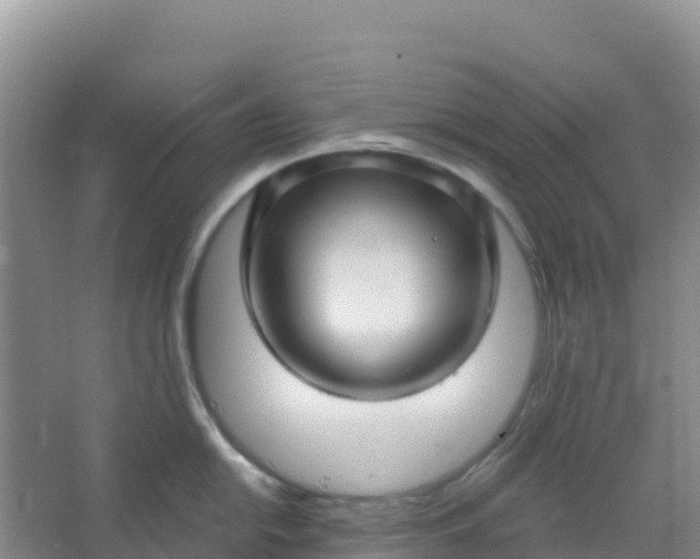 X0000066931054200604071841