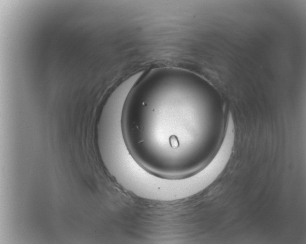 X0000066931057200604071840