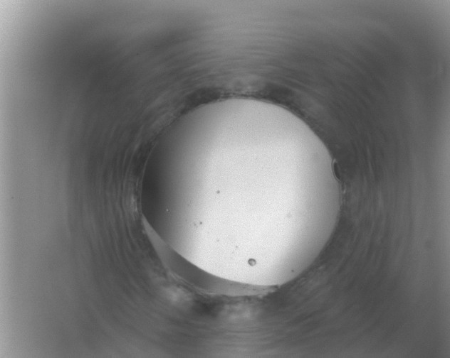 X0000066931058200604071840