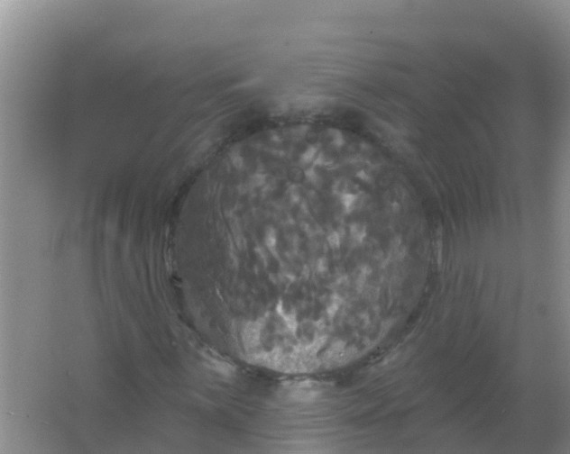 X0000066931059200604071840