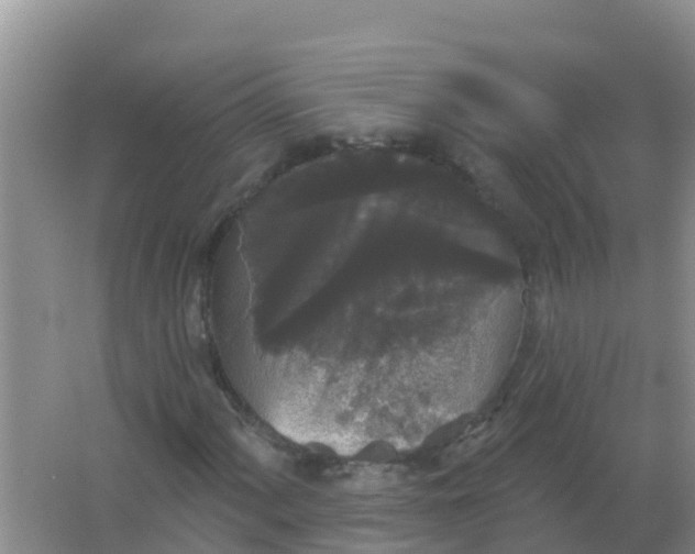 X0000066931060200604071840