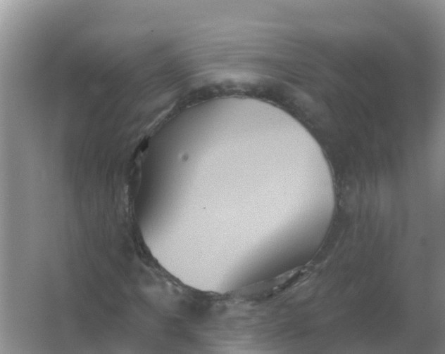 X0000066931061200604071840