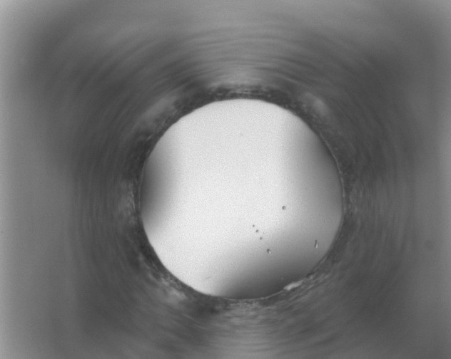 X0000066931062200604071840