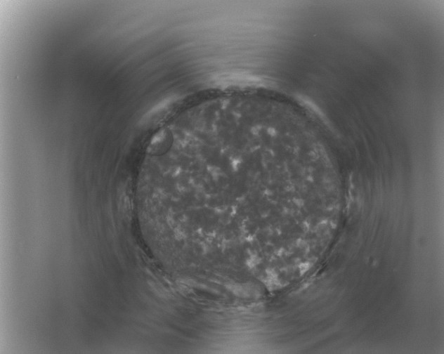 X0000066931063200604071840