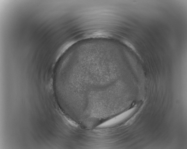 X0000066931066200604071840