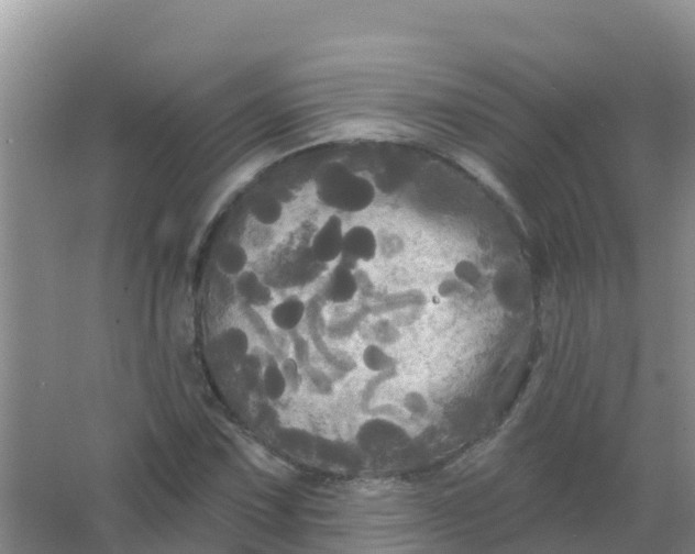 X0000066931067200604071840