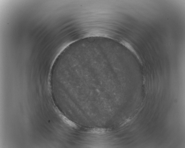 X0000066931068200604071840