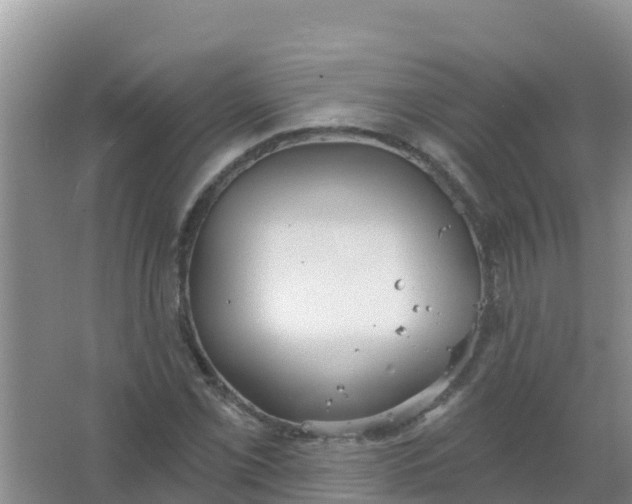 X0000066931069200604071840