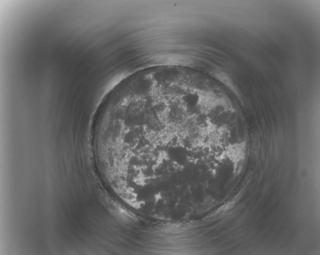 X0000066931071200604071840