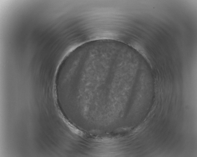 X0000066931072200604071840