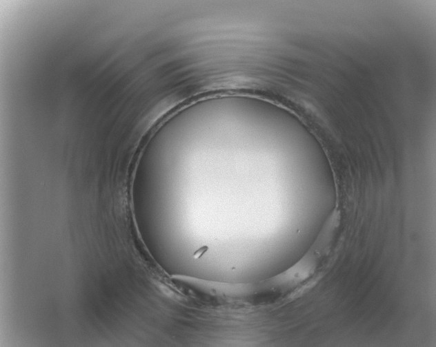 X0000066931073200604071840