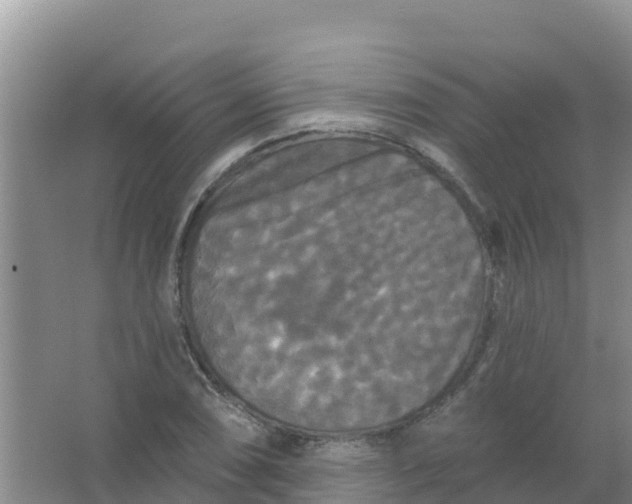 X0000066931074200604071840