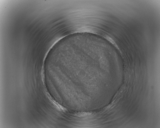 X0000066931076200604071840