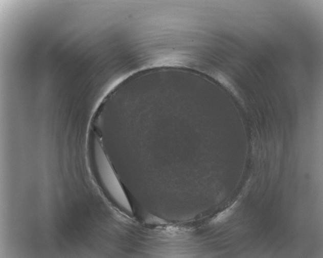 X0000066931077200604071840