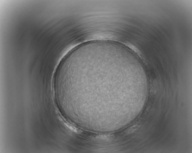 X0000066931078200604071840