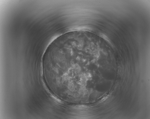 X0000066931079200604071840