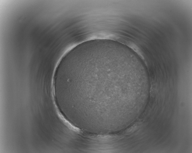 X0000066931080200604071840