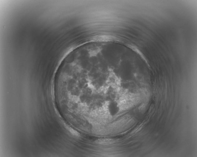 X0000066931083200604071840