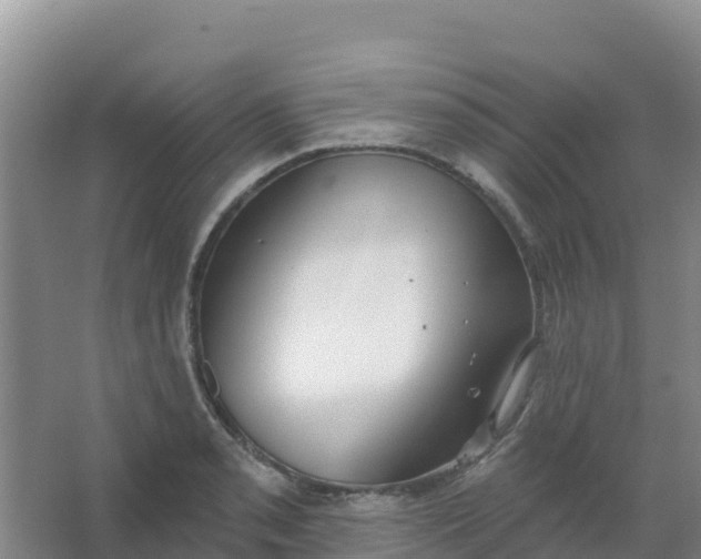 X0000066931085200604071840