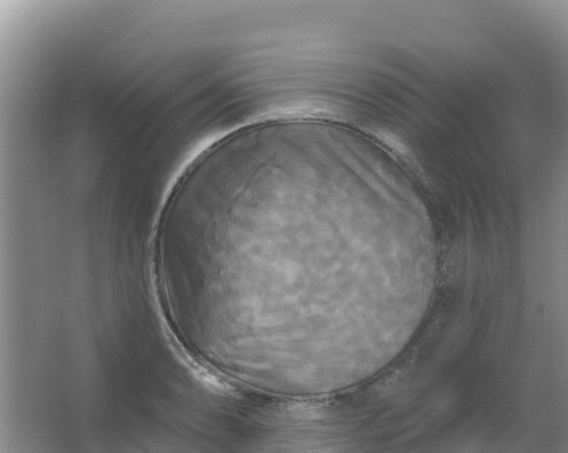 X0000066931086200604071840