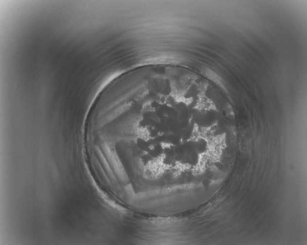 X0000066931087200604071840