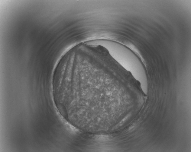 X0000066931088200604071840