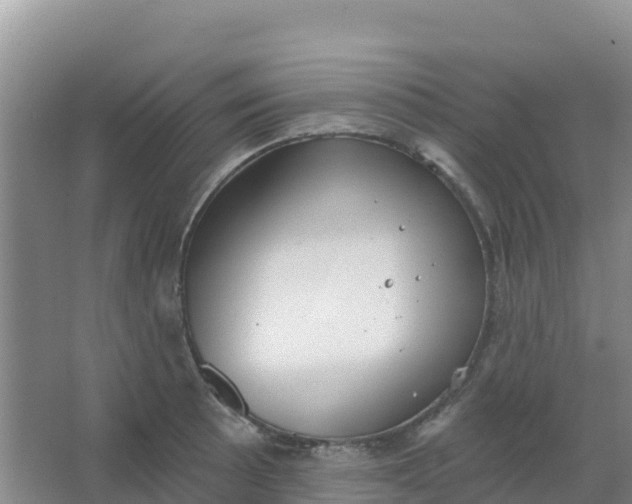 X0000066931089200604071840