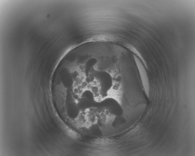 X0000066931091200604071840