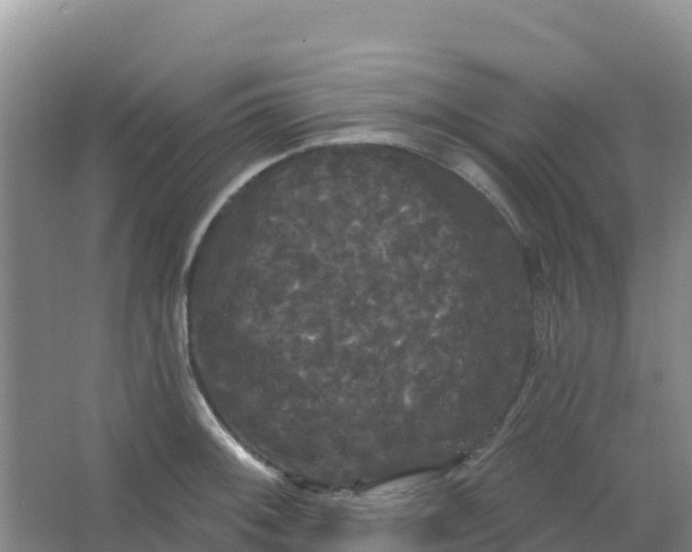 X0000066931092200604071840