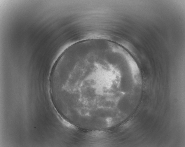 X0000066931094200604071840