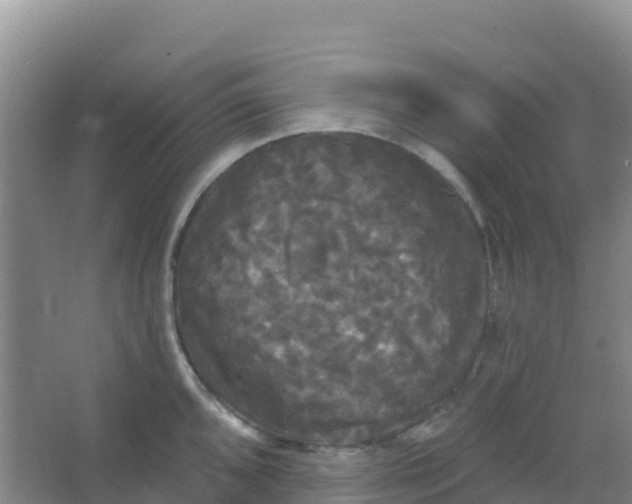 X0000066931096200604071840