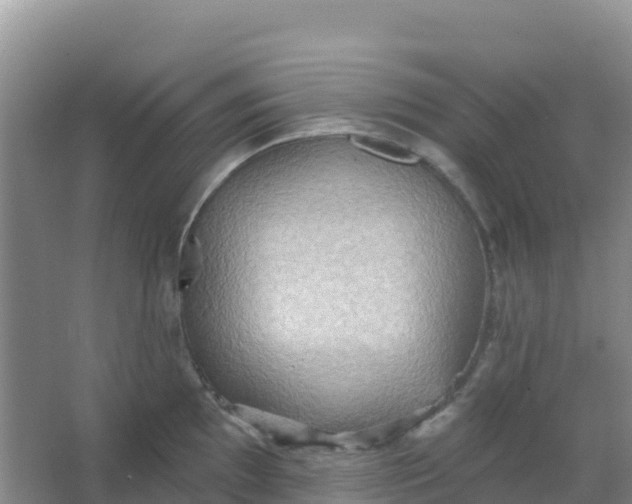 X0000066931097200604071840