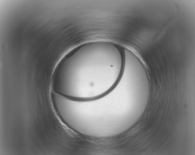 X0000066931101200604071840