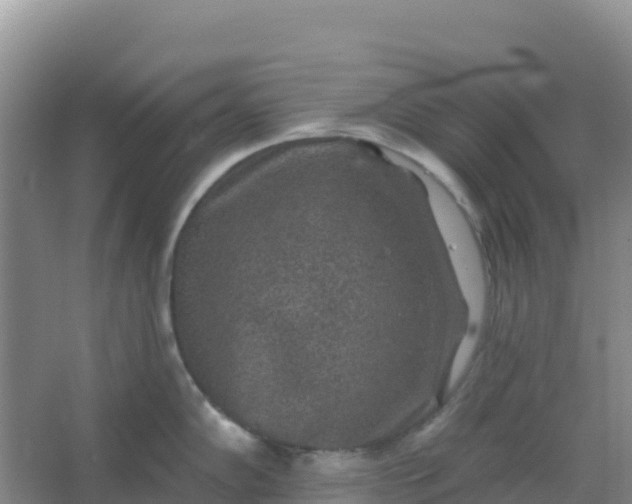 X0000066931102200604071840