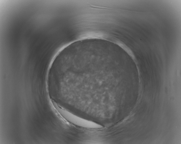 X0000066931104200604071840